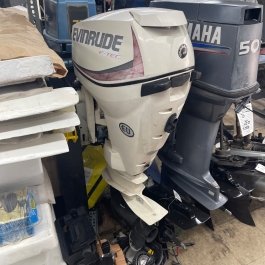 2010 Evinrude 25HP Etec Outboard Engine